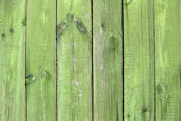green wood texture