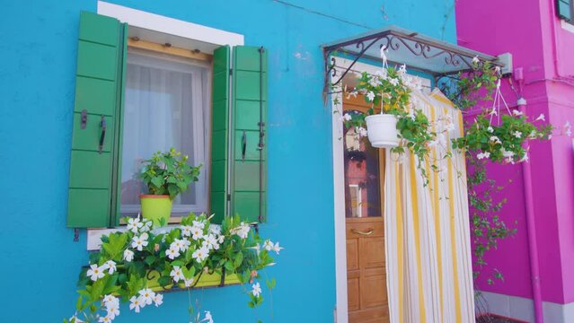 Multi-colored blooming flowers in pots stand on windowsill and hang above entrance wooden door of colored house in Burano closeup