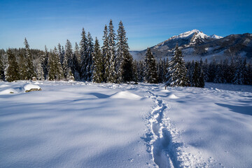 Fototapeta na wymiar Footprints in the snow, deep snow, Tatra Mountains