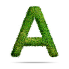 Green grass alphabet letter a for text or education concept 