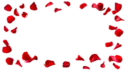 Red rose petals fly for valentines day. Background for love greetings with isolated rose petals. png/d.e. - obrazy, fototapety, plakaty