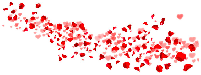 Fototapeta Red rose petals fly with hearts for love greetings. Background with isolated rose petals. png/d.e. obraz