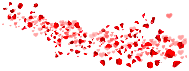 Red rose petals fly with hearts for love greetings. Background with isolated rose petals. png/d.e.