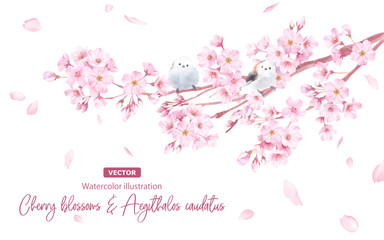 春の花：桜の花とエナガの水彩イラスト。（ベクター。レイアウト変更可能）
