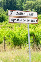 vineyard of Saussignac in Bergerac Region, Dordogne Deparment, France
