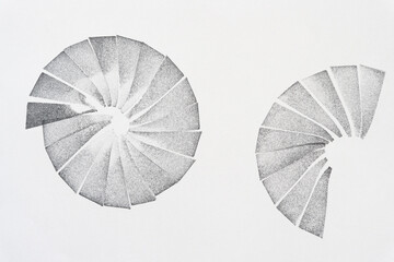 two roundish shapes on blank paper