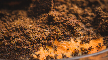 Multicolored mold on a food surface. Close-up of colorful growth mustiness mushrooms on a food. Green mold Penicillium expansum. Selective focus.