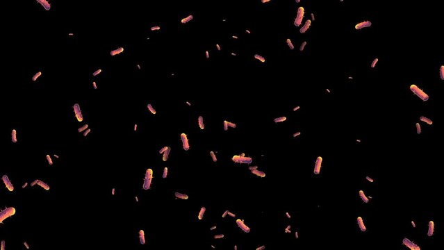 Bacteria Micro Organisms Transparent Animation Transparent Alpha Video