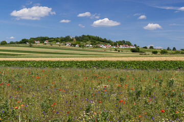 Traditional wine cellars with vineyard in Galgenberg near Wildendurnbach, Lower Austria, Austria