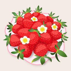 strawberry, ripe red strawberries and white strawberry flowers on a plate. isolated. vector illustration. delicious strawberry