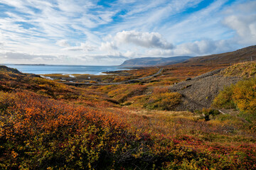 Beautiful view of fjord with autumn colors in the Westfjords in Iceland, Europe, stock photo