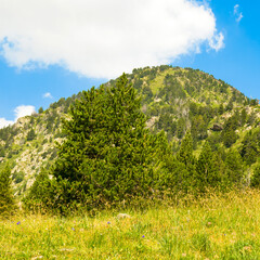 Picturesque mountains of Pyrenees in Andorra in summer.