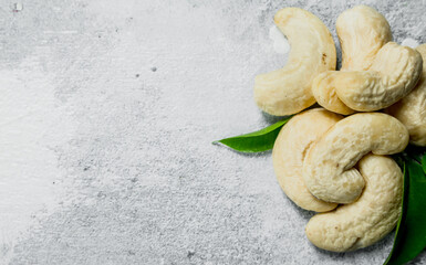 Cashew with green leaves.