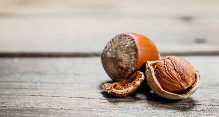 Hazelnut with shell .