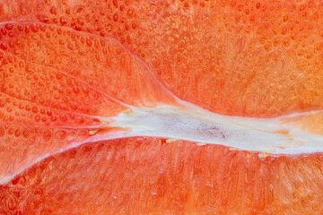 Macro shot of pink pomelo cross-section with detailed fruit flesh. Citrus maxima