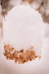 shape on snow