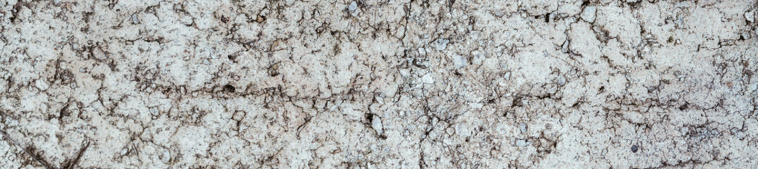 Horizontal image Cement background Rough concrete texture