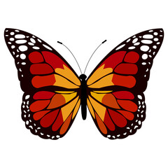 Vector image of a beautiful black monarch butterfly with red, orange and white spots, close-up on a white background. Graphic design.