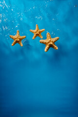 Obraz na płótnie Canvas Starfish in bright blue ocean water with waves and bubbles