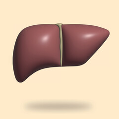 3d rendering illustration of internal organ liver