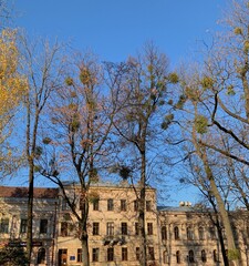 Fototapeta na wymiar architecture buildings in blue sky