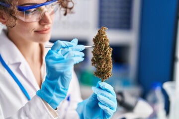Young hispanic woman scientist holding marihuana plant using tweezers at laboratory
