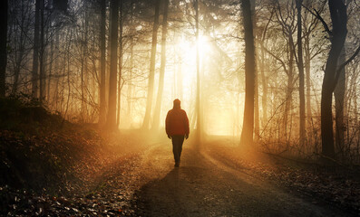 Fototapeta Male hiker walking into the bright gold rays of light in a misty forest, landscape shot with dramatic beautiful lighting mood  obraz