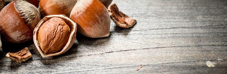 Hazelnut with shell .