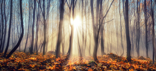 Silhouettes of bare trees in the woodland with rays of sunlight in the mist, blue sky and gold...