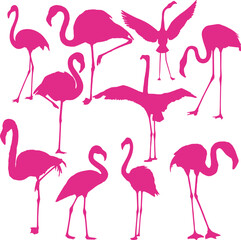 Pink flamingo silhouette set, EPS Vector