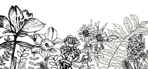 Sfondo con fiori neri, illustrazione isolata su sfondo bianco