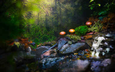 Microworld in the aquarium