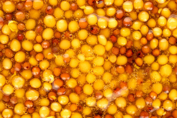 French mustard in a dish, macro, top view.