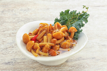 Wild pickled honey mushroom in the bowl