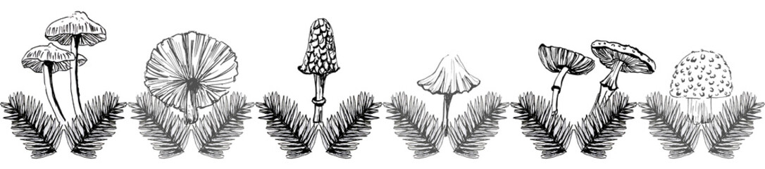 Bordo con foglie e funghi in fila, illustrazione nera isolata su sfondo bianco