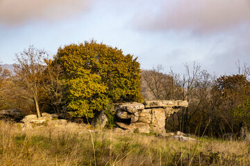 Sea of Stones trail near Baton lake in Hungary at fall
