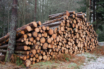 Chopped wood logs for sale with small snow covering during the winter