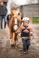 Little girl in protective jacket and helmet with her brown pony before riding Lesson