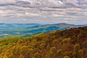 Naklejka premium Its Springtime in Shenandoah National Park, Virginia USA, Virginia