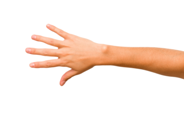 caucasian hands gesturing isolated on a white background
