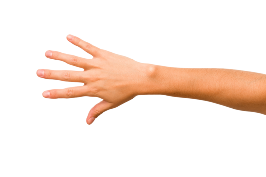 caucasian hands gesturing isolated on a white background