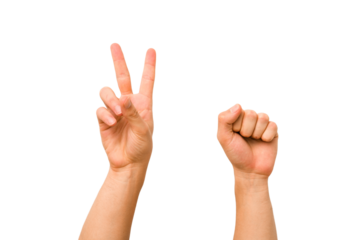 caucasian hands gesturing isolated on a white background