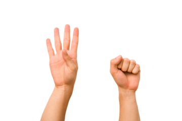 caucasian hands gesturing isolated on a white background