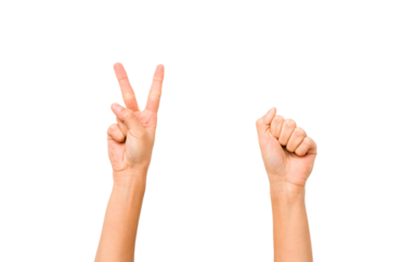 woman's hands gesturing isolated on white background