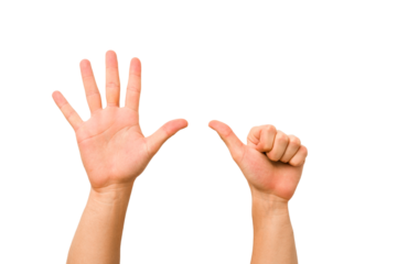 caucasian hands gesturing isolated on a white background