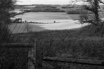 rolling countryside in black and white