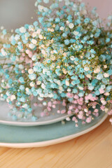 Multi-colored gypsophila