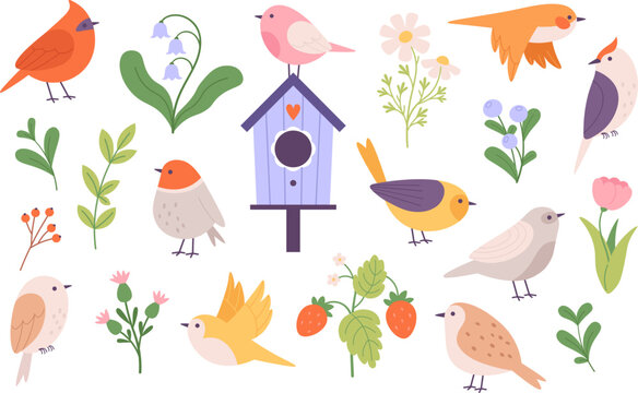 Cute cartoon flat birds clipart. Bird and birdhouse, leaves, flowers and garden berries. Forest and gardening elements, springtime racy vector set