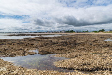 Rocky beach with seashells. Bretagne, France
