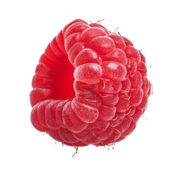  Delicious single raspberry over isolated white background